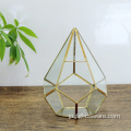 ペンタゴンボール形状オープンガラス幾何学的テラリウム